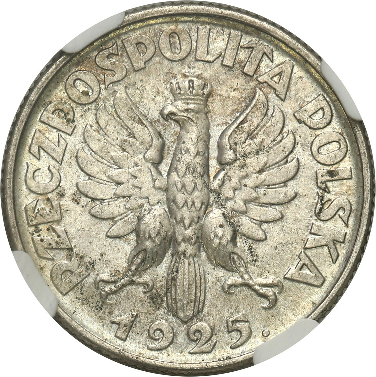 II RP. 1 złoty 1925, Londyn, kropka po dacie NGC MS63+ - PIĘKNE